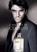 L`Essence de Cerruti